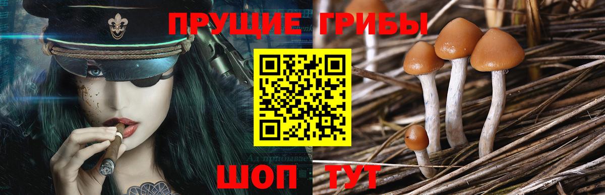 Галлюциногенные грибы Magic Shrooms Лангепас