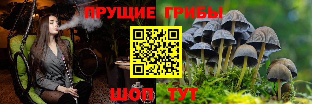 цены   Лангепас  Псилоцибиновые грибы ЛСД 